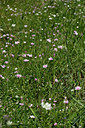 BUITEN BEELD Foto: 326276