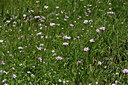 BUITEN BEELD Foto: 326277