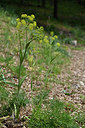 BUITEN BEELD Foto: 326278