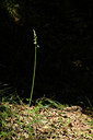 BUITEN BEELD Foto: 326282