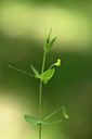 BUITEN BEELD Foto: 326284