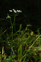BUITEN BEELD Foto: 326287