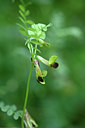 BUITEN BEELD Foto: 326296