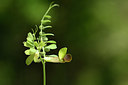 BUITEN BEELD Foto: 326297