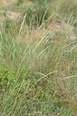BUITEN BEELD Foto: 326309