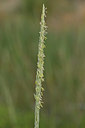 BUITEN BEELD Foto: 326310