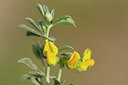 BUITEN BEELD Foto: 326320