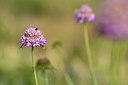 BUITEN BEELD Foto: 326322