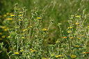 BUITEN BEELD Foto: 326324