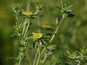 BUITEN BEELD Foto: 326325