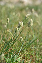 BUITEN BEELD Foto: 326349