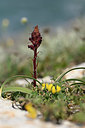 BUITEN BEELD Foto: 326351
