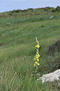 BUITEN BEELD Foto: 326352