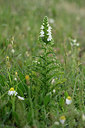 BUITEN BEELD Foto: 326358