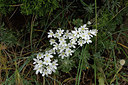 BUITEN BEELD Foto: 326362