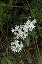 BUITEN BEELD Foto: 326363