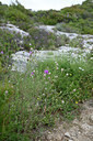 BUITEN BEELD Foto: 326369