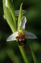 BUITEN BEELD Foto: 326373