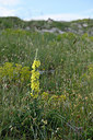 BUITEN BEELD Foto: 326379