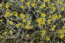 BUITEN BEELD Foto: 326380