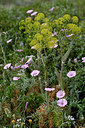 BUITEN BEELD Foto: 326386