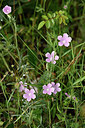 BUITEN BEELD Foto: 326394