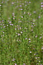 BUITEN BEELD Foto: 326399