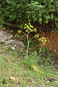 BUITEN BEELD Foto: 326401