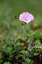 BUITEN BEELD Foto: 326410