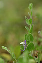 BUITEN BEELD Foto: 326413