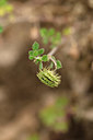 BUITEN BEELD Foto: 326421