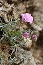 BUITEN BEELD Foto: 326426