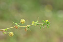 BUITEN BEELD Foto: 326430