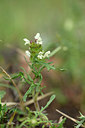 BUITEN BEELD Foto: 326433