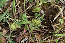 BUITEN BEELD Foto: 326435