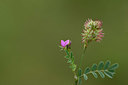 BUITEN BEELD Foto: 326437
