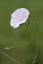 BUITEN BEELD Foto: 326440