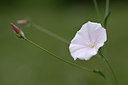 BUITEN BEELD Foto: 326441