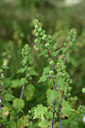 BUITEN BEELD Foto: 326450