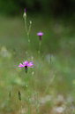 BUITEN BEELD Foto: 326451