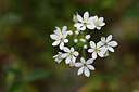 BUITEN BEELD Foto: 326458
