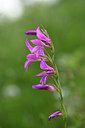 BUITEN BEELD Foto: 326460