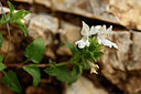 BUITEN BEELD Foto: 326465