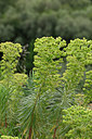 BUITEN BEELD Foto: 326470
