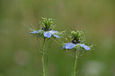 BUITEN BEELD Foto: 326472