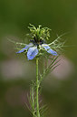 BUITEN BEELD Foto: 326473