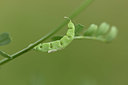 BUITEN BEELD Foto: 326479