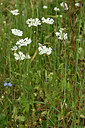 BUITEN BEELD Foto: 326481