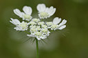 BUITEN BEELD Foto: 326482