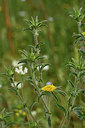 BUITEN BEELD Foto: 326483